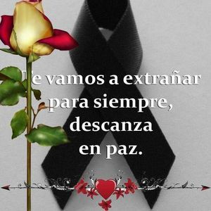 Meet your Posher, Elvira